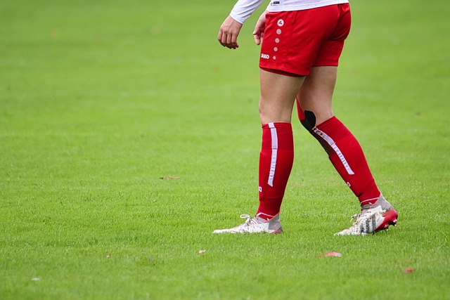 西貢行山｜井欄樹起步上東洋山探兔仔石　逆行麥徑長城古道下山.