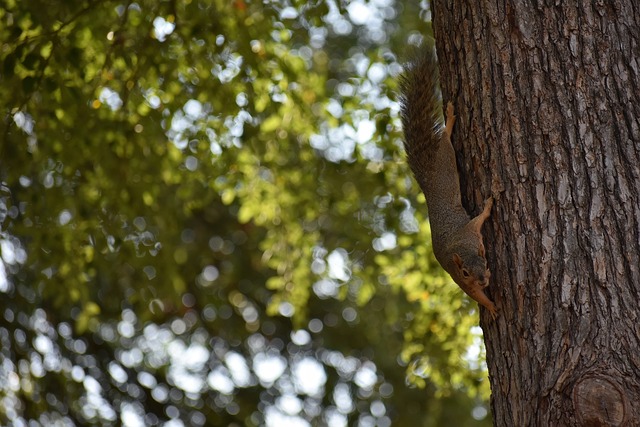 20-21賽季西甲聯賽第35輪比賽集錦.