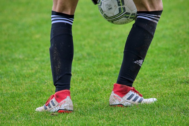 如何帮助快 如何帮助快