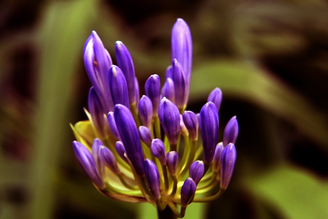 法国国家队 法国国家队