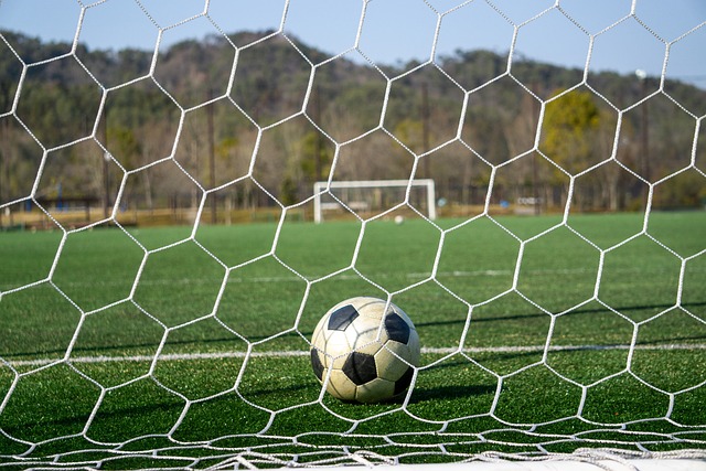 的战术布置 的战术布置