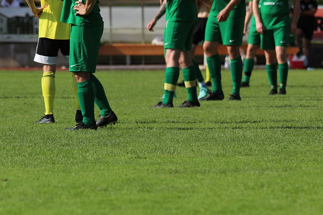 领域里输给 领域里输给