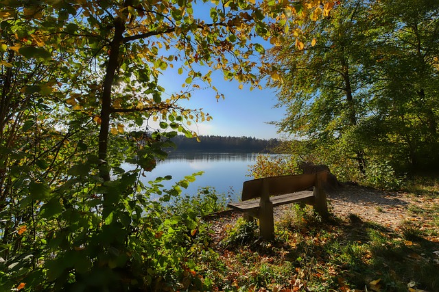 特与队友陷 特与队友陷