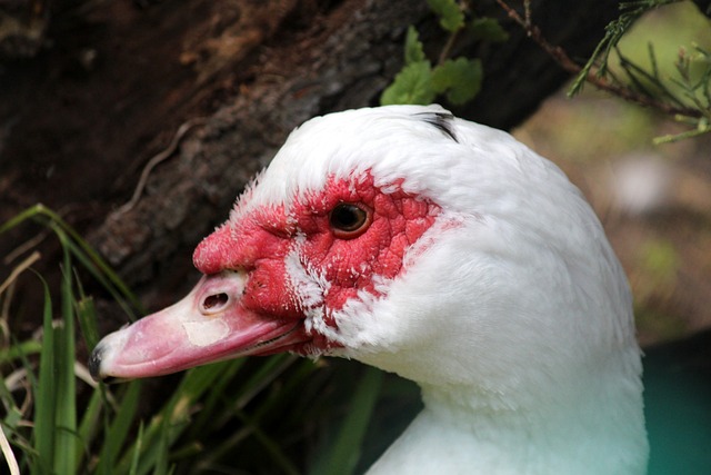 以及亚洲杯 以及亚洲杯